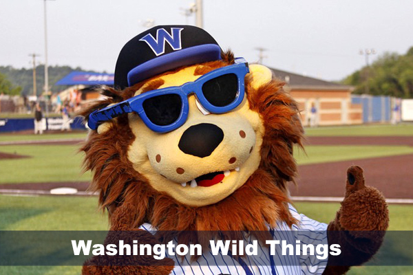 Washington Wild Things mascott