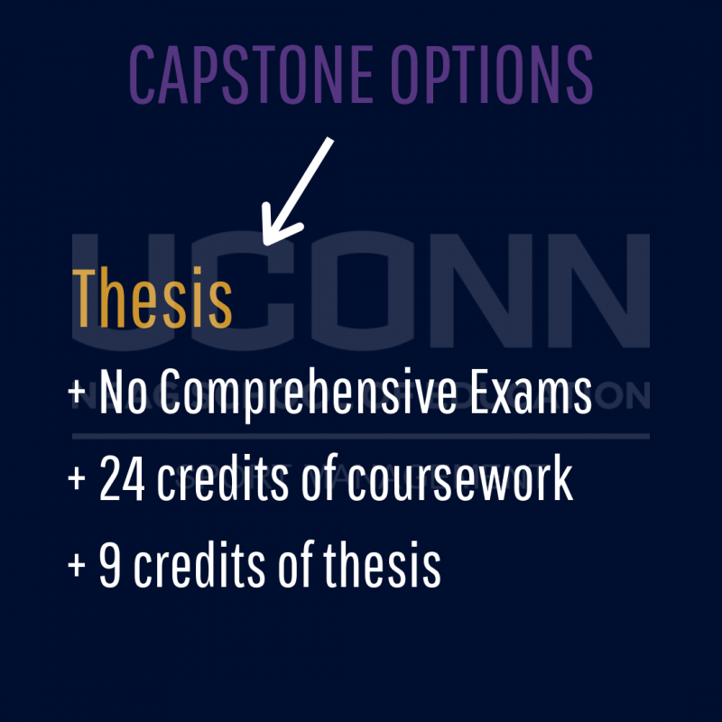 Thesis path
